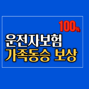 운전자보험 가족동승 보상 word2