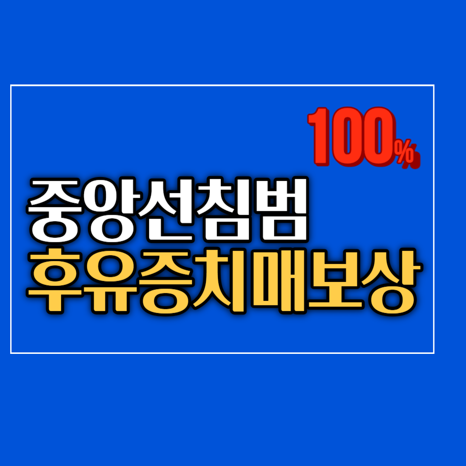 교통사고 후유증 치매 중앙선 침범 사고 내고 보상?